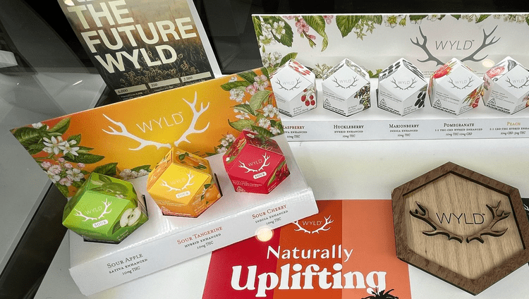 Top 4 Popular Cannabis Gummy Brands to Try Now